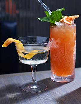 servicios hotel san borja